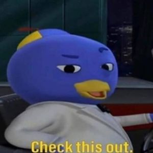 Meet your Posher, Maddie